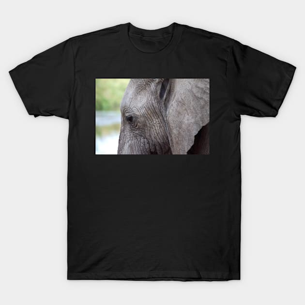 Portrait, African Elephant, Serengeti National Park, Tanzania. T-Shirt by Carole-Anne